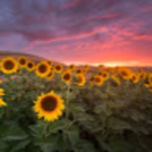 Meet your Posher, Breanna